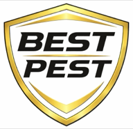Best Pest — pest control in Coeur d'Alene, Idaho
