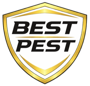 Best Pest — pest control in Coeur d'Alene, Idaho